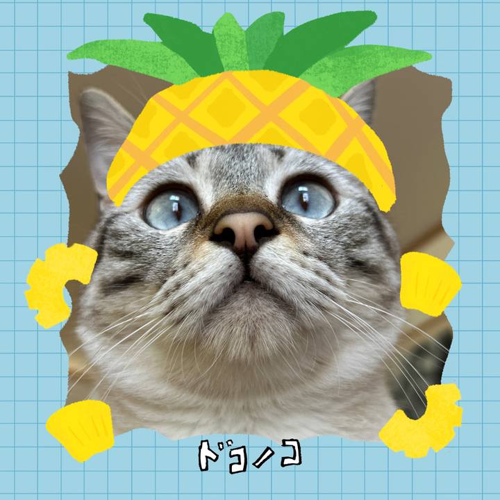 5c563724 d88c 4cc9 824f 7c57d0fe76ca 1783575378625