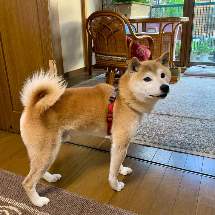 5c567ebc 59e2 4fe1 a05e 5f58528848b1 1686824457757