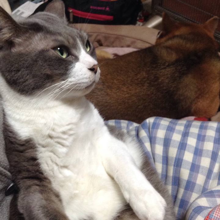 5c569e92 9a0d 4c60 9c3c 6d95f472c471 1515244873373