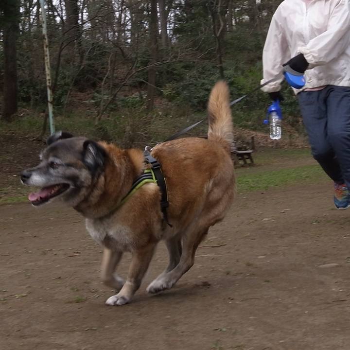 5c56a54c 58b7 4001 86cc df1f20155e15 1584959332162