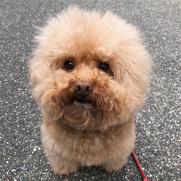 5c56af6b d3fd 4913 8178 57ed807779cc 1553257517072