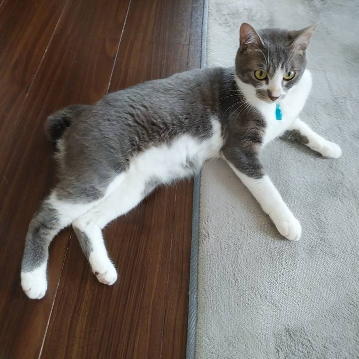 5c56f21f 84b3 4e93 8e38 17550cbebdee 1593213654540