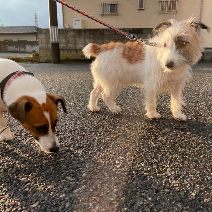 5c5711f9 dad2 401a a842 afd2b94ddf3b 1635849276817