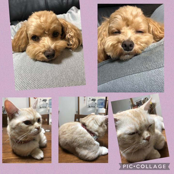 5c572b2d 5391 40a7 993a 4ebd704589f3 1654912349660