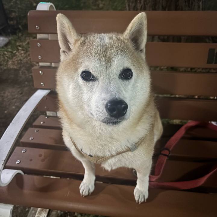 5c575fa0 3c40 469a b4fc e31dcd9ad1f4 1739722685051