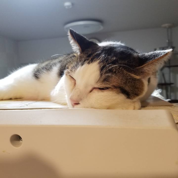 5c57a1ac 5928 4ad1 b0e4 01b209f2b5a7 1602797728003