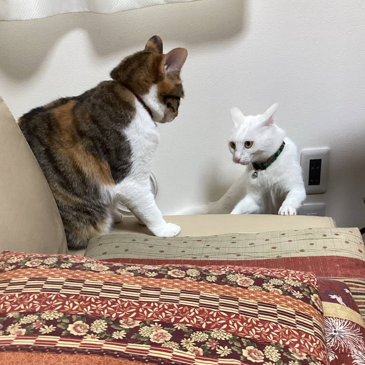 5c57ecdb 84e3 48f2 bbf5 e350c4850803 1650425643797