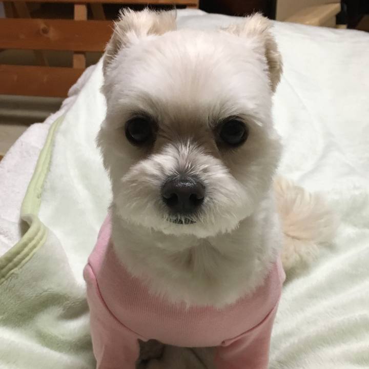 5c5804b3 f444 49ae 9a75 9b3458670a71 1548756832558