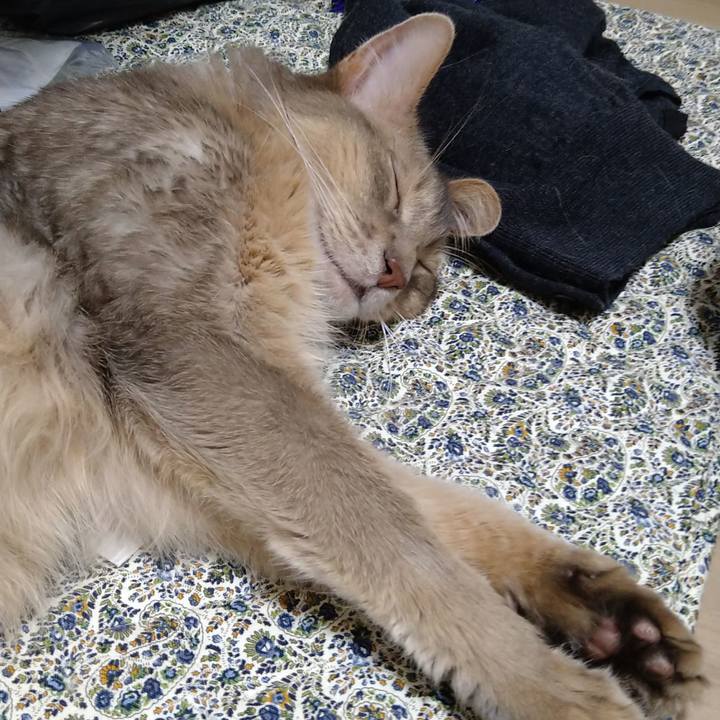 5c581942 d2bc 4666 a442 d2707d825838 1622156977983