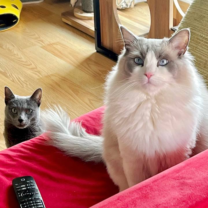 5c5819c8 99f7 4ae7 bce2 0972cf9c6ace 1677830600051