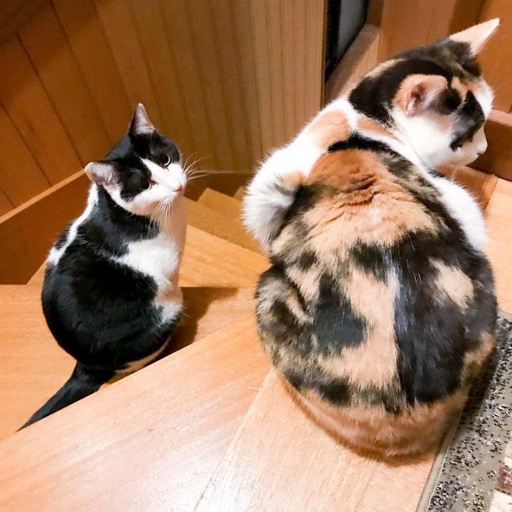 5c58a39a 9a2e 4255 8a09 82c9b2b7fbb9 1516755369279