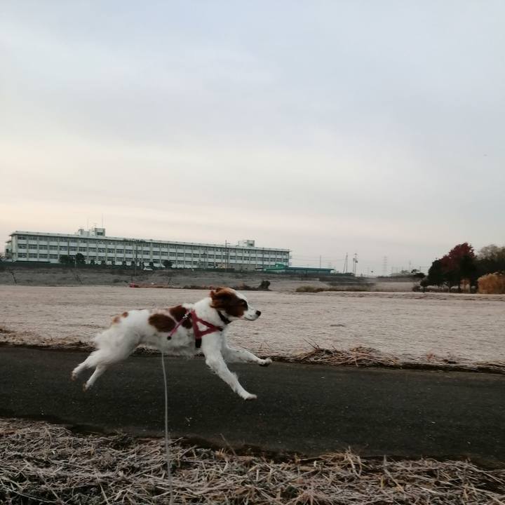 5c58aa7e 4dd1 4976 ba80 a499add218ae 1609203704465