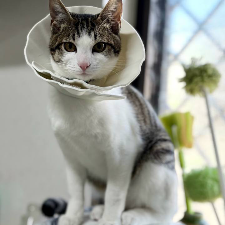 5c58e904 fccd 4c04 9705 50af07bc2713 1773191166837