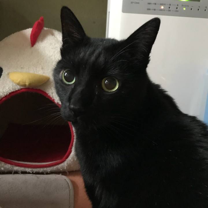 5c58f8fd e966 4b27 81c4 6ed224779539 1516757998944