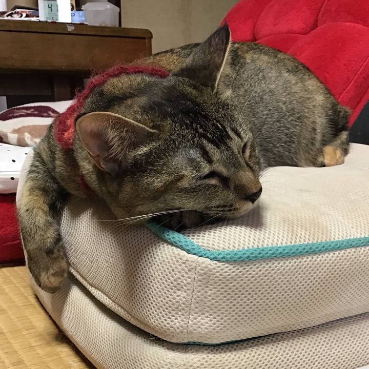 5c590c33 3d71 4e33 832d ebb2ff0a4cb6 1599293161007