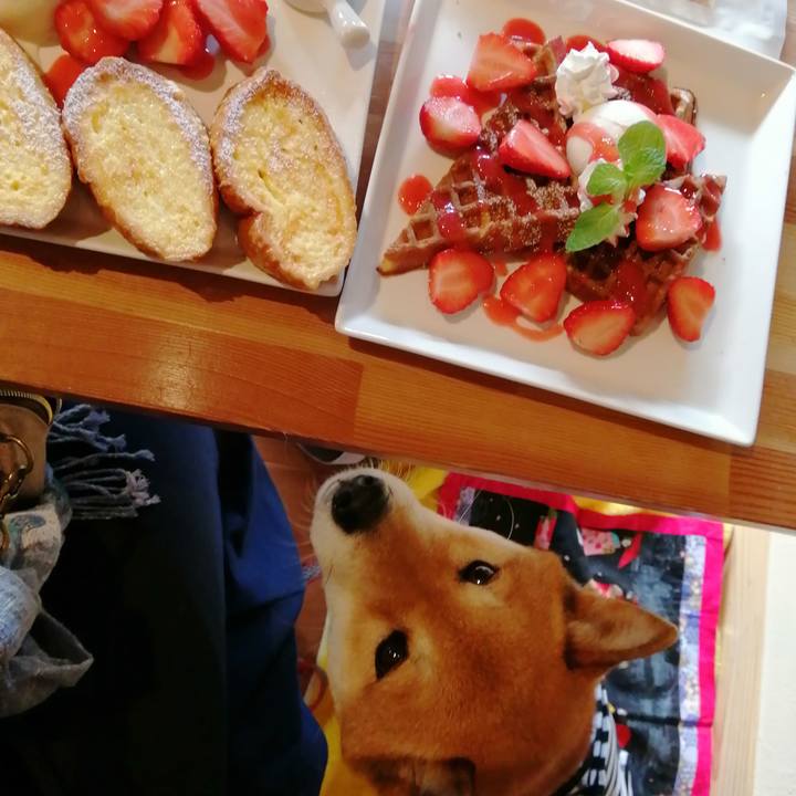 5c590f46 9ef2 46b8 84f1 9b510e04cd60 1581165345902