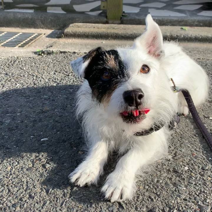 5c591d12 567b 4b54 87df b1eed331d3bd 1750067935655