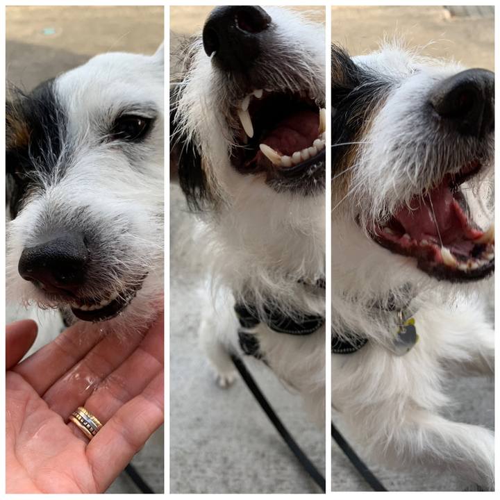 5c59516e 325c 46d8 b6b4 3dfb83615bea 1558342092024