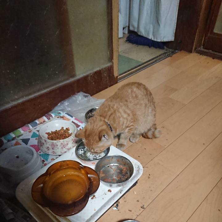 5c59583d b537 4c61 bade d660764e614c 1636194138020