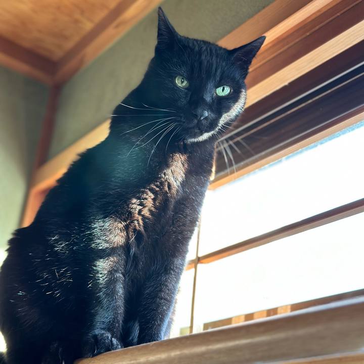 5c596aed 376c 4819 b955 81561256b00f 1673393025728