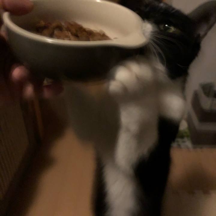 5c59732a 110a 4e0a bfe9 9cb25d6768eb 1551881309575