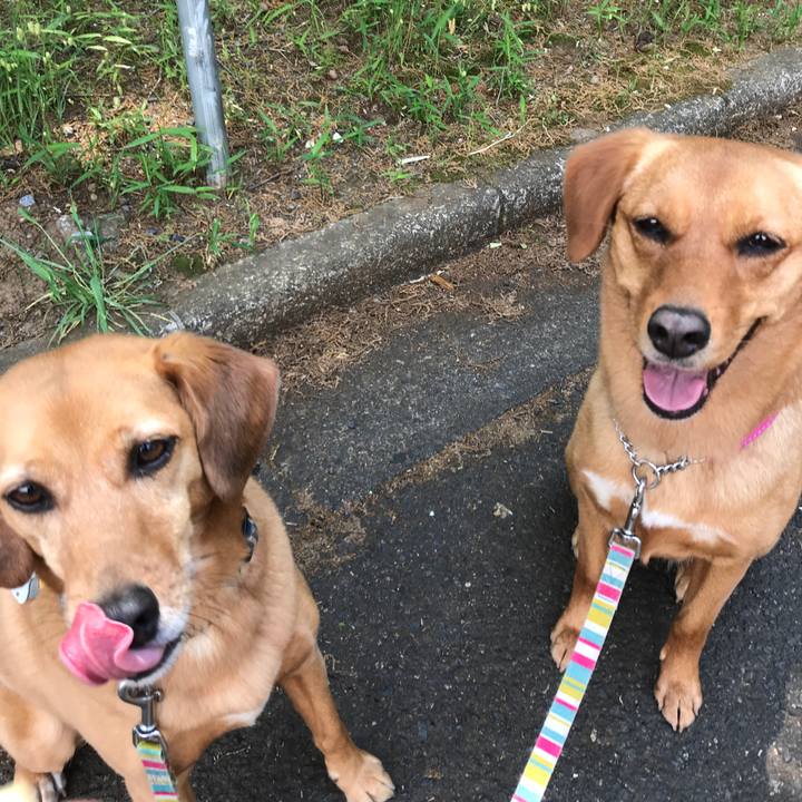 5c599286 ed48 4e47 9fdf 833466c5d348 1557616748717