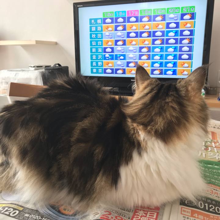 5c5999a1 f9f6 4248 8e02 8ef26863b2c4 1550113317706