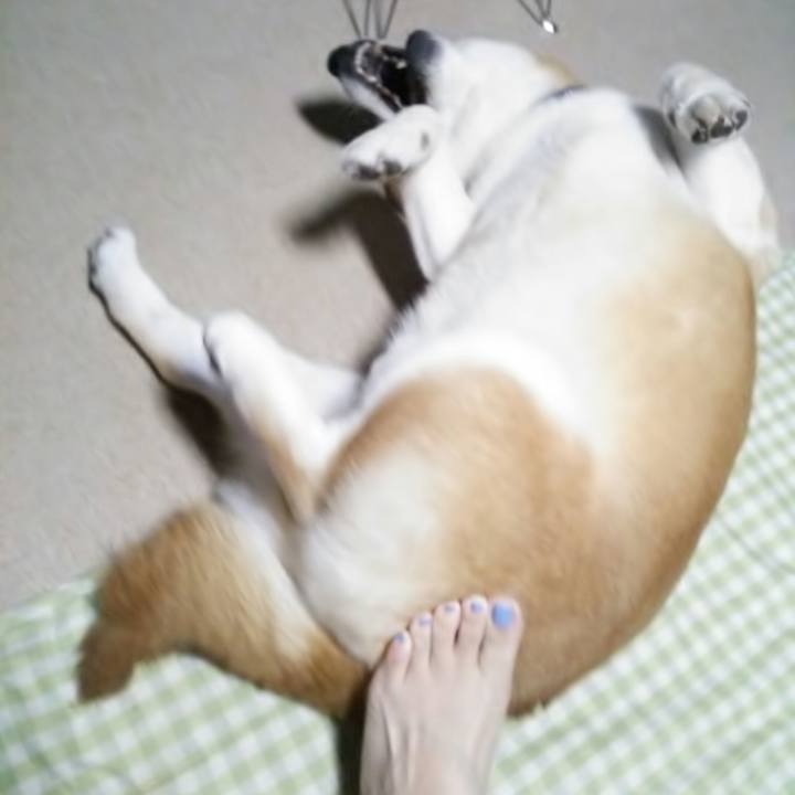 5c59b3ad 1eb2 4a15 bd07 09117cdb5f21 1562843384806