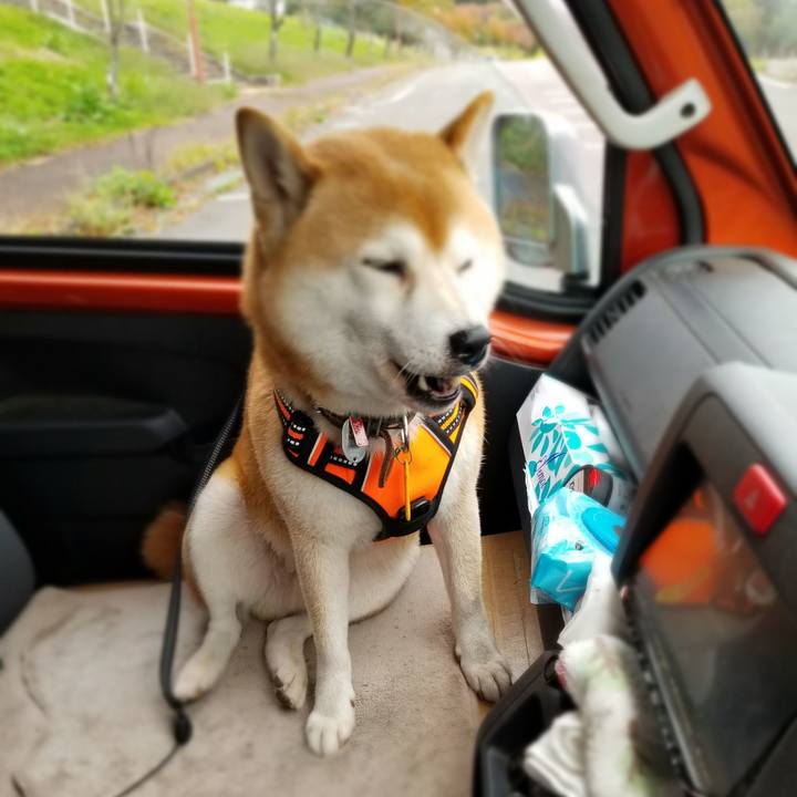 5c59c522 d4cd 4740 a225 a25564a7aed9 1602567258773