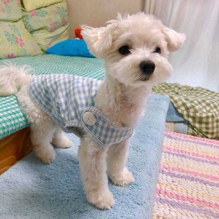 5c59cabf 986c 44b5 a699 f9bbf38d845f 1527324187826