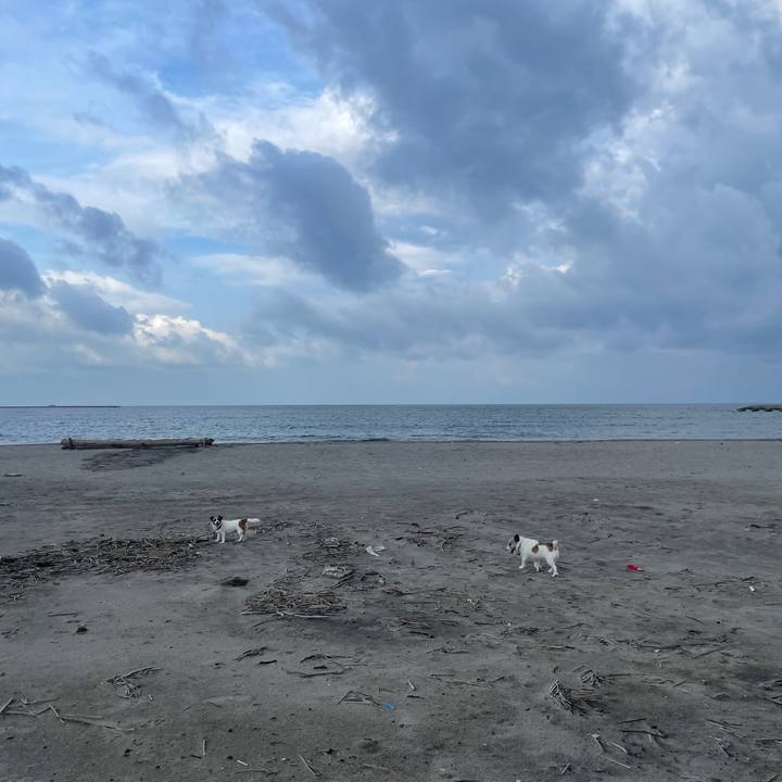 5c59ea66 a213 4534 8799 343c56bdd3ce 1756509266960