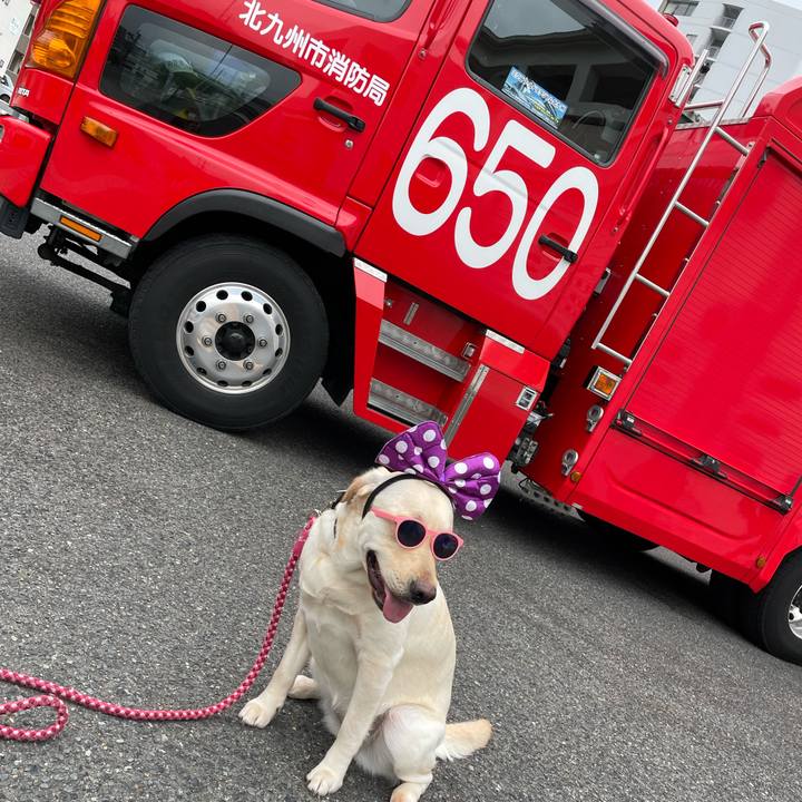 5c59faa3 f30b 4207 ac4b 724c75d45b5d 1650690035568