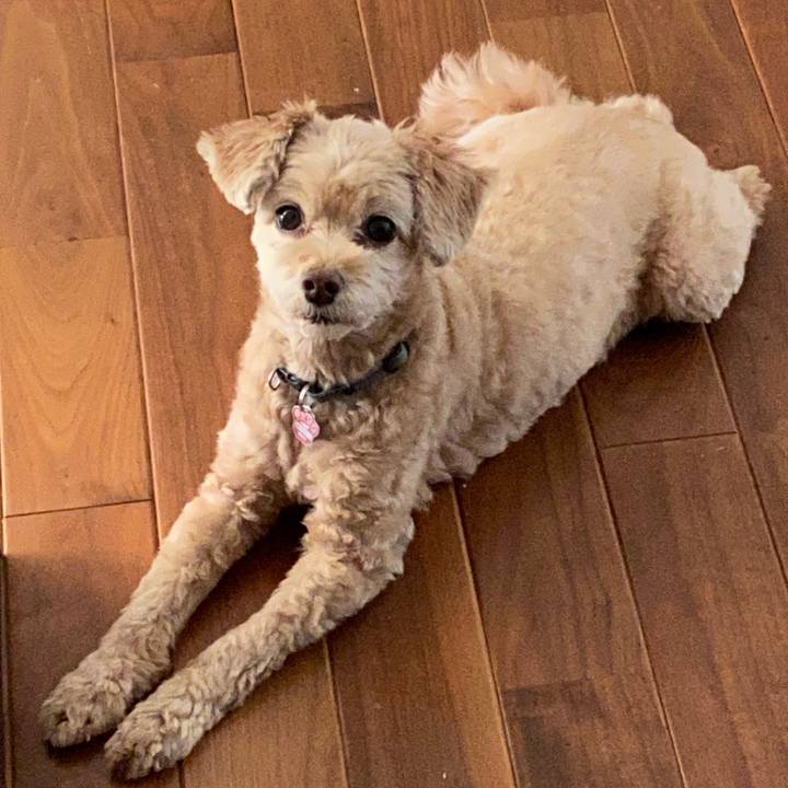 5c5a066d e465 414c 815e 496149b50ebd 1596891082020