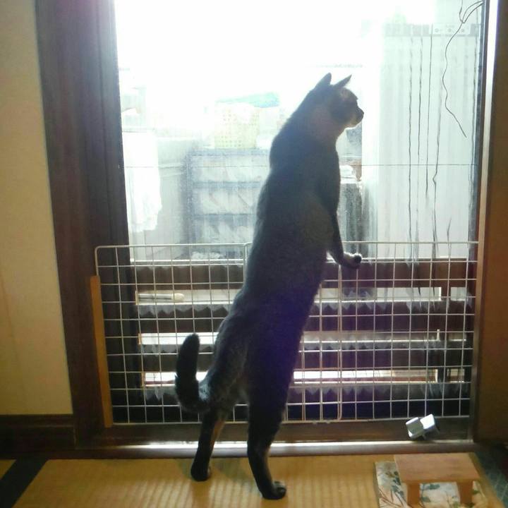 5c5a1c7e 330e 44d6 ba17 5a2fc5f13ed0 1537224416661