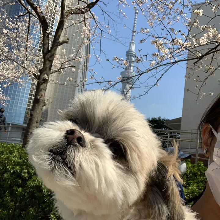 5c5a3808 9175 4292 912a 04f87e5de559 1616575023650