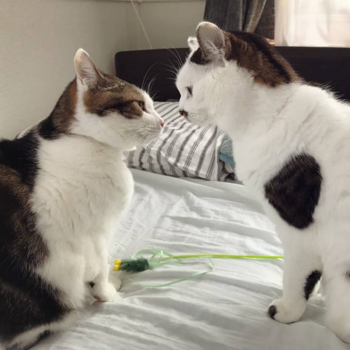 5c5a4da1 6f14 40d2 85cc 91a435a87fa3 1580873790998