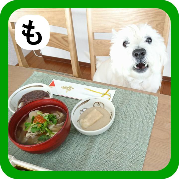 5c5a51ff 37f3 44bf 99c7 029966864c22 1514784246690