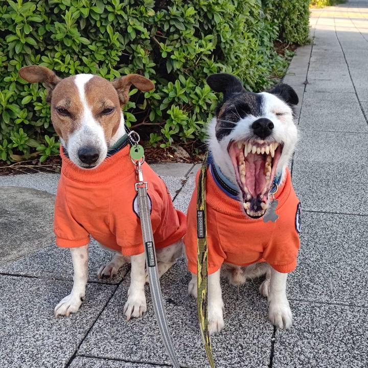 5c5a6975 1c36 44ce 811c 8c1c314894dd 1697061613136