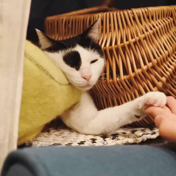 5c5a8db3 c1bc 47b3 a2cb 354dbfe82e42 1567002452514