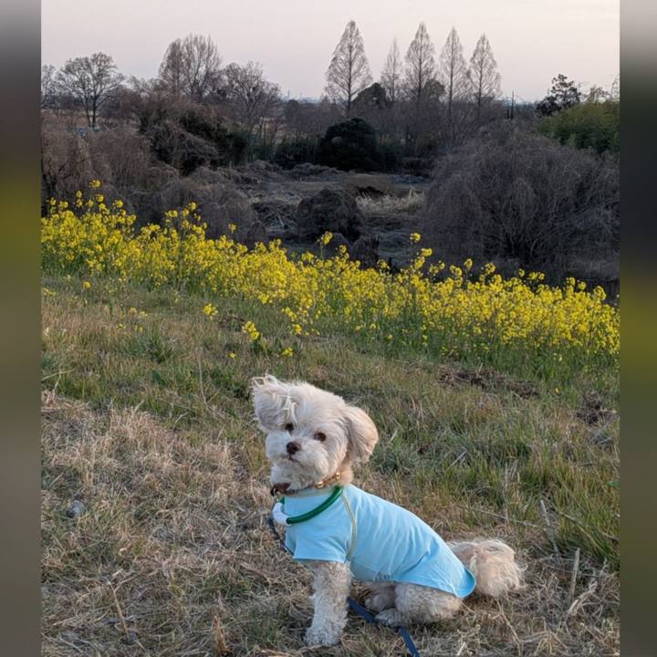 5c5a912b 489c 4af9 819b 20860c19ef44 1773747039254