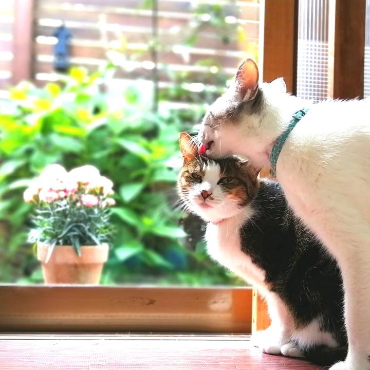 5c5a940f c7f3 47d4 9813 d727e7dedc9e 1589075401766