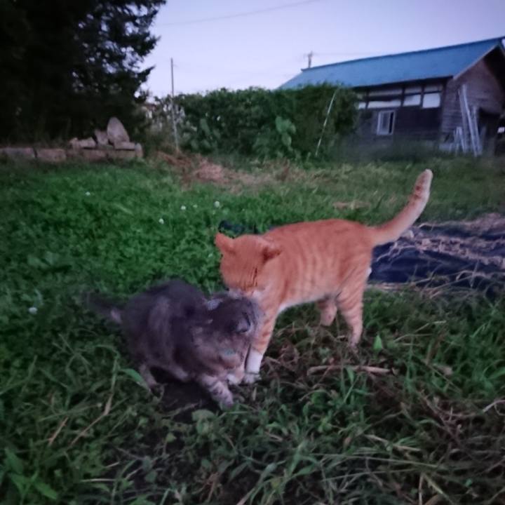 5c5a9b33 85b6 42f3 bb9f 42c164fd5929 1568539792134