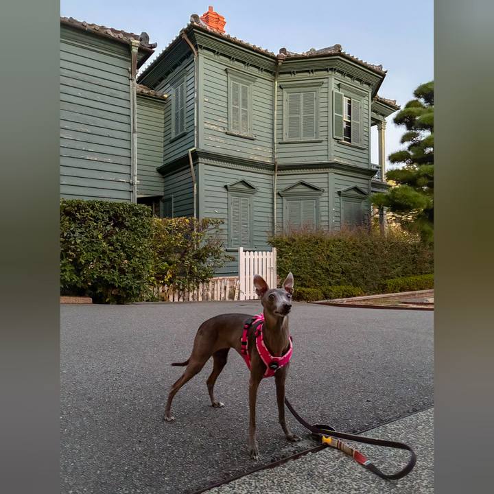 5c5aa16b 558e 497f b2f0 cbd98374d835 1760005271810