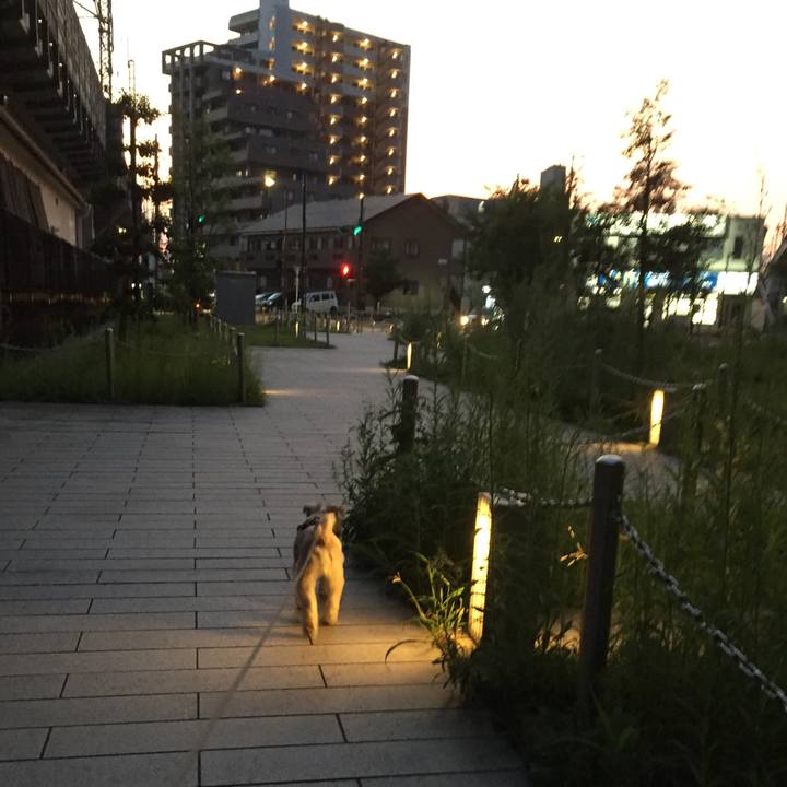 5c5b9c4d b54f 4f78 936b f6f7449978da 1564921578830