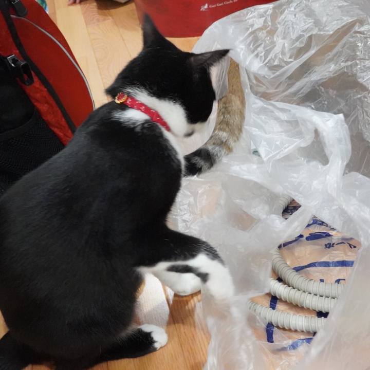 5c5baaf0 460a 4b17 b1e0 03ecf5c0c934 1592793301164