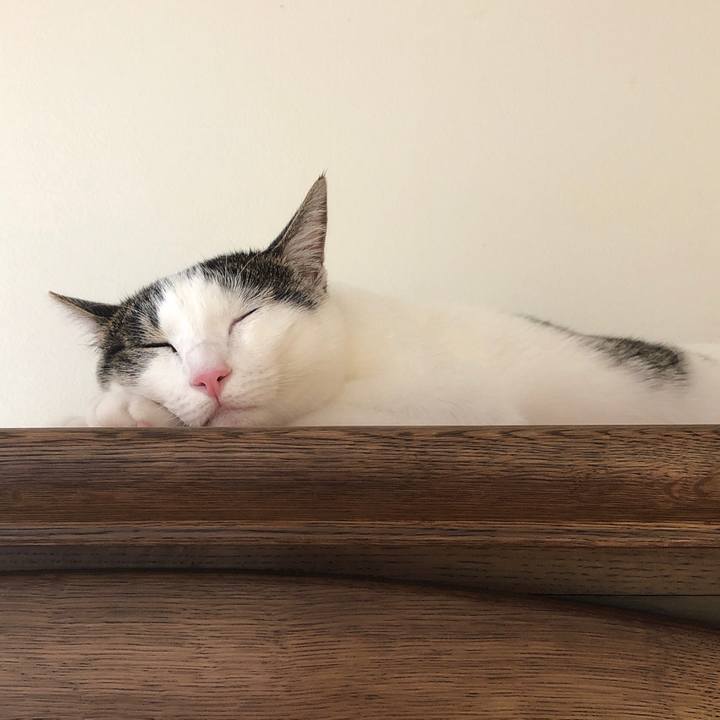 5c5be26f 6a2b 419b 85f3 22ac27150982 1597880863494