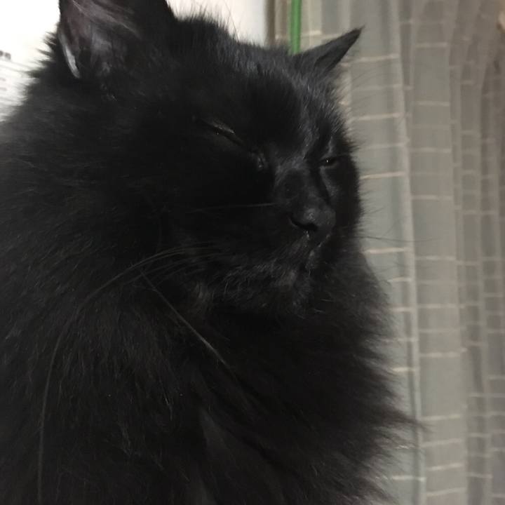 5c5bfbc8 1236 4337 baa3 a60c0cb7ac33 1544605781201