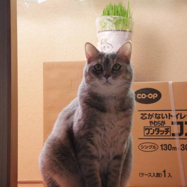 5c5c1cde b6f0 4af5 93dc 94929fd9b43b 1600493800037