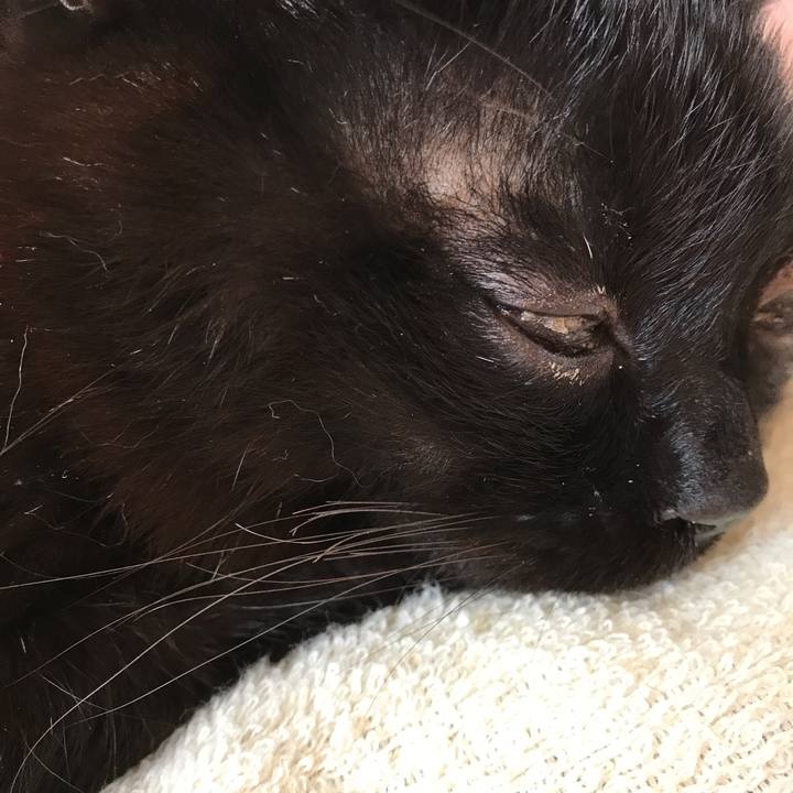 5c5c26f2 7930 4c63 9a83 aa1ecc957a56 1522576457223