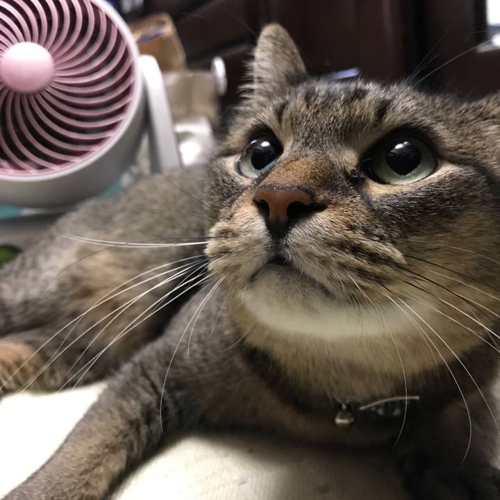 5c5c7a8e c5f0 4c8d a3d7 c169c6d15397 1562776432444